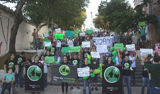 Convocan a marcha por la legalización del cultivo de marihuana