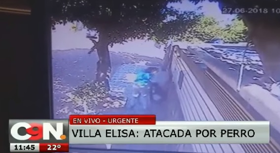 Reiterados ataques de pitbull en zona de Villa Elisa