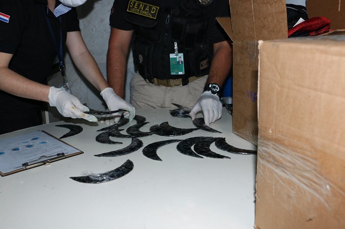 Confiscan más de 1 kilo de cocaína distribuidos en viseras de boinas