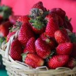 Precio de la frutilla en Areguá se dispara y toca los G. 120.000 por kilo