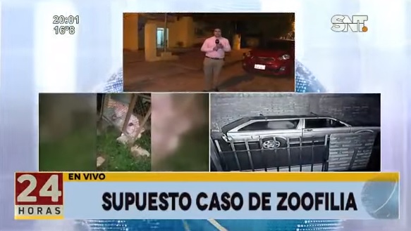 Denuncian caso de zoofilia en San Lorenzo