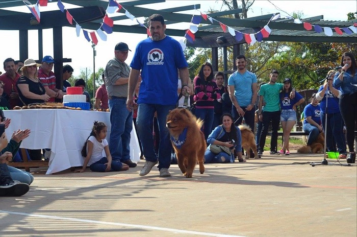 Desfile canino mostrará lo mejor de la raza chow chow