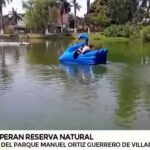 Municipalidad de Villarrica recupera emblemático predio