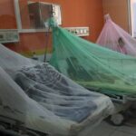 Salud insta a volver a usar mosquiteros ante amenaza de chikunguña