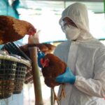 ¡Fin de la alerta! Senacsa levanta emergencia sanitaria por influenza aviar