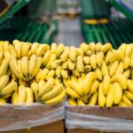 Paraguay y Bolivia reanudarán envíos de bananas a la Argentina