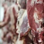 Paraguay se acerca a la apertura del mercado mexicano para exportar carne bovina