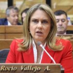 Diputados cartistas buscan expulsar a Rocío Vallejo, afirman