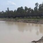 Lluvias en el Chaco: Un oasis de esperanza en medio de la sequía