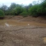 La lluvia en el Chaco: Un alivio insuficiente frente a ocho meses de sequía