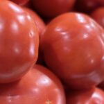 ¡Alivio al bolsillo! Precio del tomate en Abasto se desploma un 50%