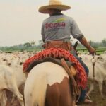 ONU insta a América Latina a descarbonizar el agro