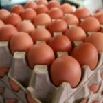 Precio del huevo se dispara previo a Semana Santa por mayor demanda