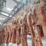 Carne paraguaya: En EE.UU. congresistas piden suspender la importación