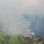 Bomberos advierten sobre graves incendios forestales en Aceval y ruta Luque