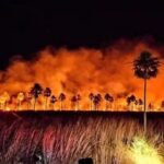 Incendios consumen 70 mil hectáreas de bosques y pastizales