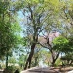 ¿Cuánto se debe invertir en infraestructura verde en Asunción?