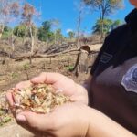 Senad inicia plan “Restaurar” para recuperar bosques destruidos por el narcotráfico