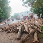 Incidente con carga de madera aterra a lomitero en Yaguarón