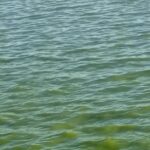 Color verdoso del arroyo Tacuary vuelve a preocupar a pobladores