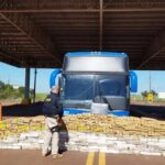 Detienen bus paraguayo con casi 1.500 kilos de marihuana en Brasil