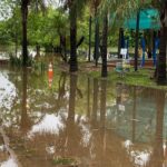 Parque Ñu Guasu cerrado indefinidamente tras intensas lluvias