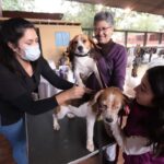 Vacunación y desparasitación gratuita para mascotas en Lambaré
