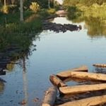 Pueblos indígenas del Chaco paraguayo claman por infraestructura vial segura