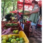 Feria agroecológica y artesanal combina solidaridad y sabores
