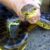 Conocé las serpientes venenosas que habitan en Paraguay