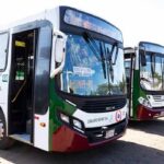 25 líneas de buses se unen a huelga de transportistas