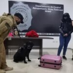 Detienen a paraguaya que llevaba cocaína a España y a su reclutador