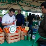 Feria de la Agricultura Familiar ofrece tomates a precios accesibles