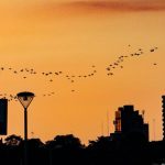 Clima caluroso dominará el fin de semana