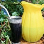 Día del Tereré: homenaje a la bebida nacional paraguaya