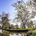 Viernes caluroso con máxima de 37 °C