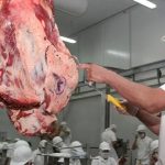 Denuncian concentración en frigoríficos y suba de carne