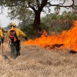 Incendios en Chovoreca: el JEM aún no informa resultados