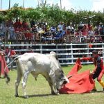 Toreros piden declarar la corrida de toros como patrimonio cultural y crear el “Día del Torero”
