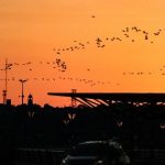 Calor intenso y humedad marcarán el resto de la semana