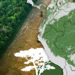 La Amazonía enfrenta una degradación acelerada que preocupa al mundo