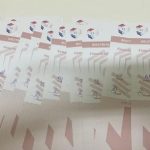 Senador Villalba denuncia fallas en el sistema de votación y revela cómo podrían manipularse las boletas