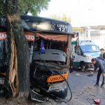Bus de la línea 12 chocó contra un árbol en Mariscal López y dejó 18 heridos