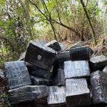 Incautan casi una tonelada de marihuana en el lago Itaipú