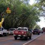 Limpian, podan y mantienen el tradicional Túnel Verde de Santa Rita