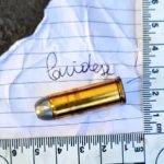 La ley del silencio: miedo y desconfianza frenan las denuncias