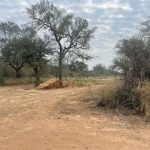 Corte destraba causa por desmonte de 2.900 hectáreas en el Chaco