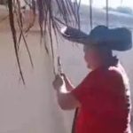 Video: tiros al aire en un cumpleaños en Alto Paraná