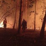 Bomberos controlan incendios en Asunción y Villeta: el fuego se inició por quema de basura y pastizales