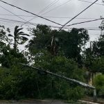 Temporal derriba árboles y columnas y deja sin luz al país